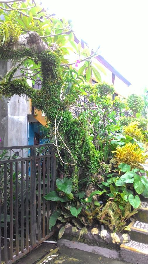 Betesda Guest House Canggu Exterior foto